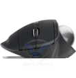 Souris Ergo S Advanced Wireless Trackball 910-007260