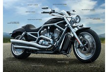 V-Rod