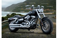 Dyna Fat Bob