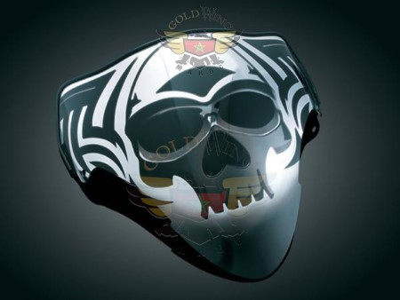 ZOMBIE PARBRISE POUR HAYABUSA