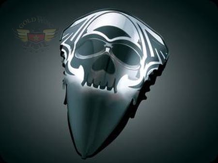 ZOMBIE PARBRISE POUR R1