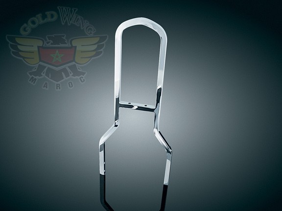 TALL SISSY BAR FOR BACKREST, TALL