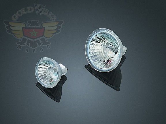 20 WATT HALOGEN BULB, LARGE   