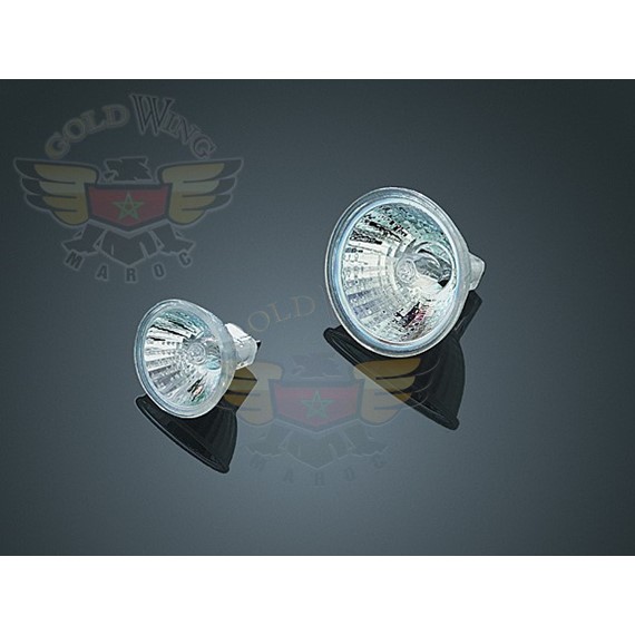 20 WATT HALOGEN BULB, LARGE   