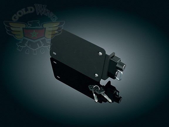 LICENSE PLATE HELMET LOCK W/MOUNT