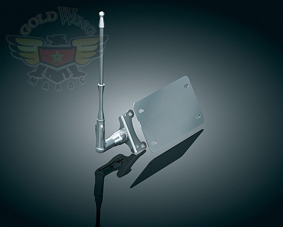 LICENSE PLATE MOUNTED FLAG