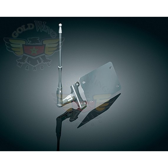 LICENSE PLATE MOUNTED FLAG    